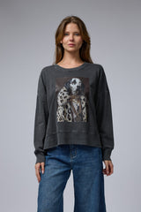 טופ ווש מוודפס