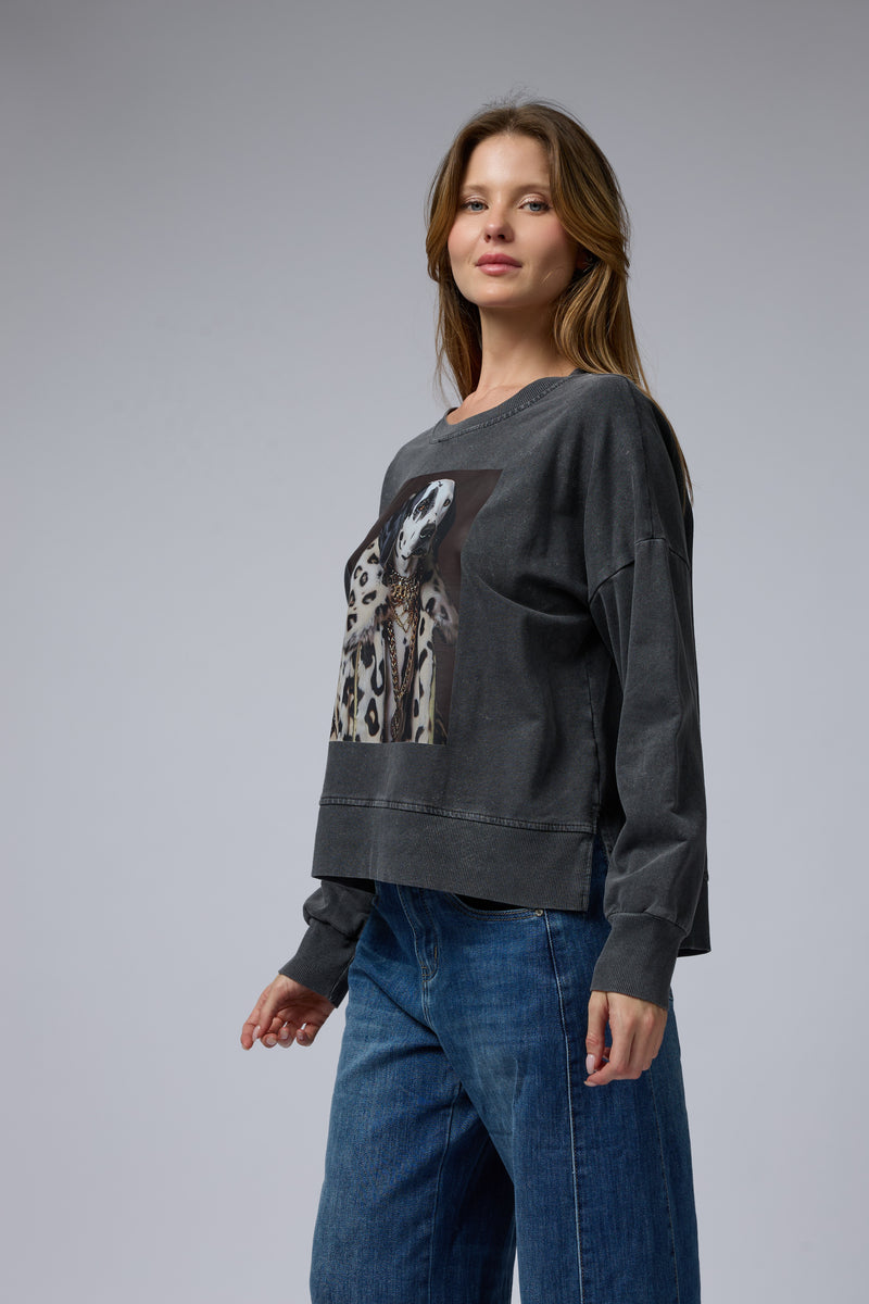 טופ ווש מוודפס