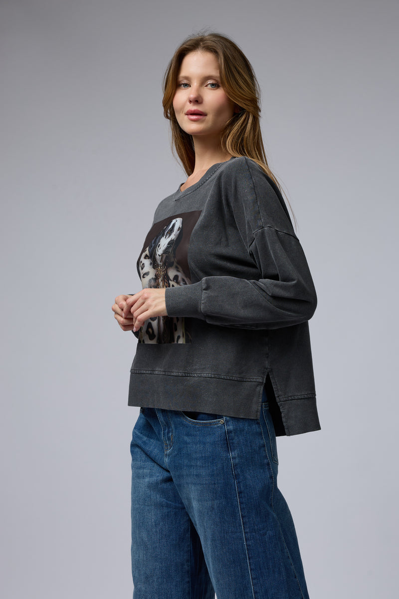 טופ ווש מוודפס