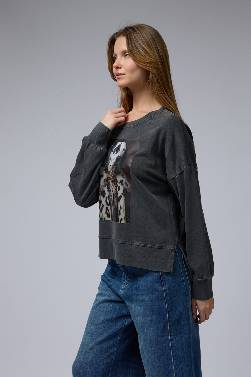 טופ ווש מוודפס